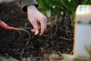 Gartenpflege