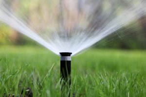 Bewässerungsanlage im Gartenbau