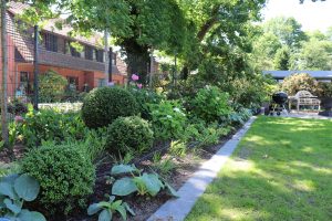 Baumpflanzung mit Begleitpflanzen im Gartenbau